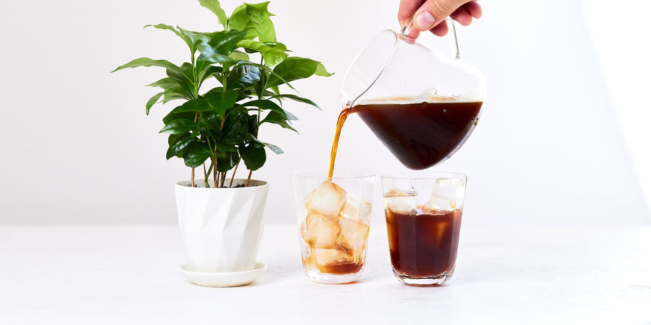 How to make iced coffee