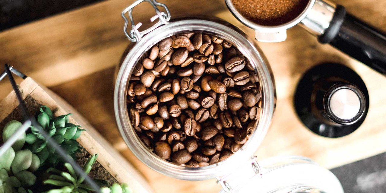 Aerial shot of whole artisan coffee beans in a kilner jar surrounded by a coffee pod with ground coffe in it, a succulent plant in a cercamic pot and a brown glass bottle
