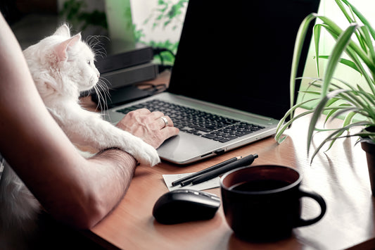 How To Stay Motivated Working From Home