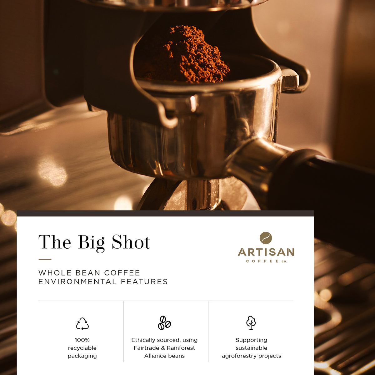 The Big Shot Whole Bean Coffee