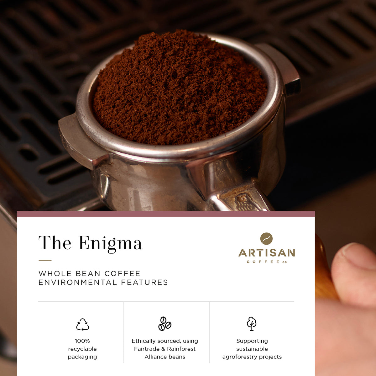 The Enigma Whole Bean Coffee